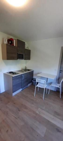 Penzini Monteurzimmer Apartment Karlsruhe am Rhein C